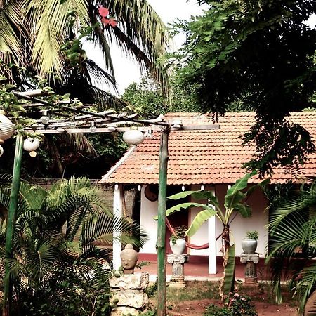 Allens Home Stay Джафна Екстериор снимка